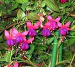 IMG_1836_edited.JPG