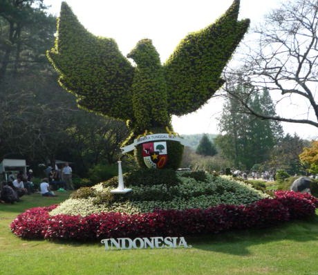 P1000987.JPG